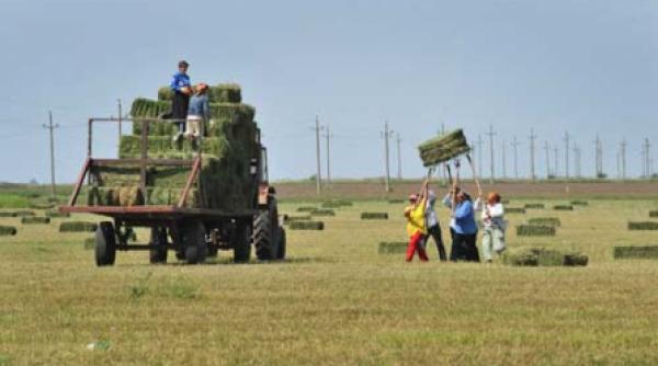 agricultura romaneasca in vizorul parlamentului european