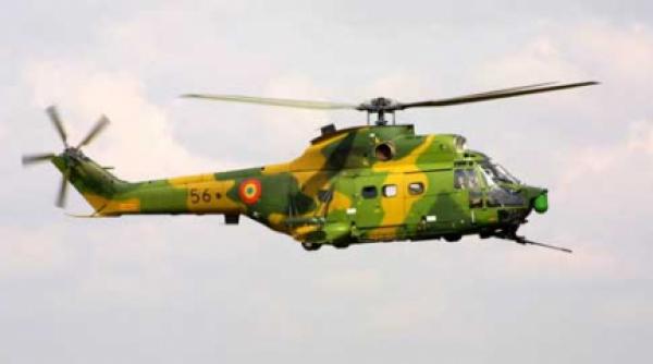 politie in zbor cu soimi si elicoptere