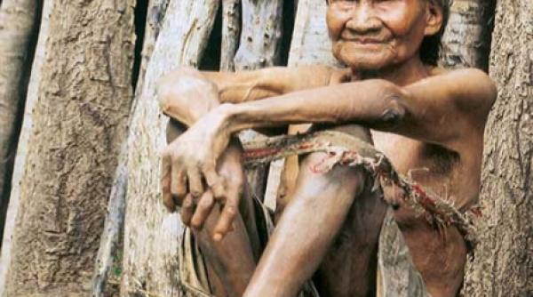 vitra sustine inovatia