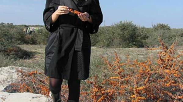 udrea finanteaza distrugerea plajei salbatice de la sulina