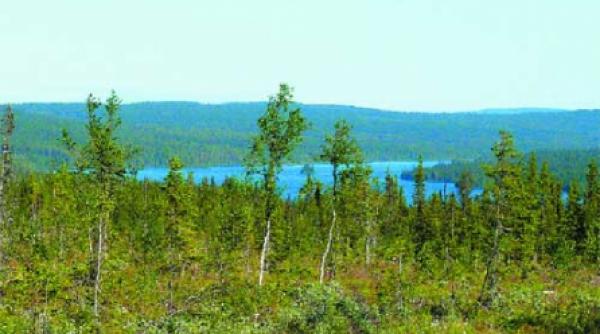 coborati pe pamant domnilor