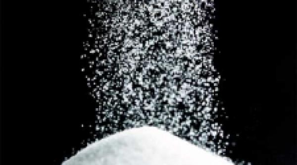 este zaharul marele bandit