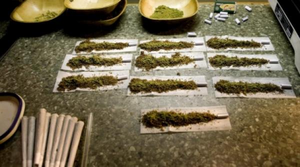 etnobotanicele fac din nou victime 12 tineri au ajuns la spital in numai doua zile