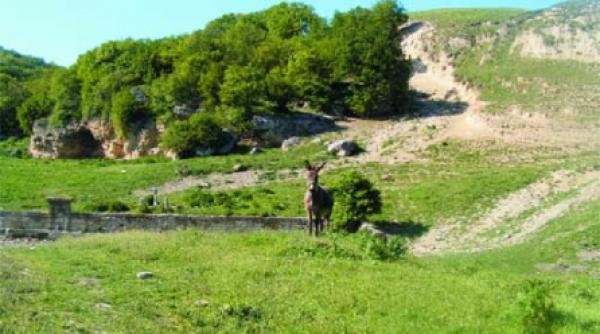 fuga de civilizatie intre civilizatii disparute