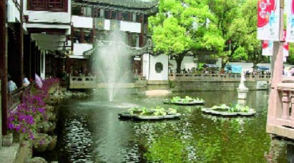 un colt de serenitate in aglomeratul shanghai