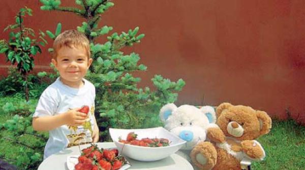 am incalecat pe capsuni dar nu am spus minciuni