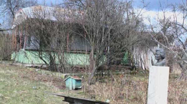 gogu radulescu patronul cenaclului de la comana fragmente