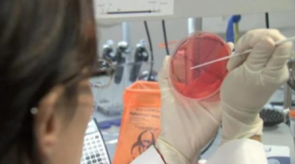 a fost creata prima celula vie sintetica