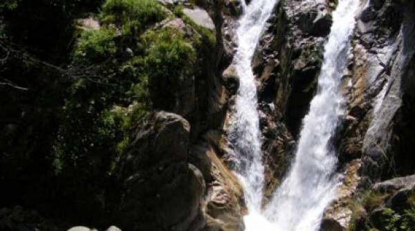 retezat ultimul peisaj forestier intact din europa temperata