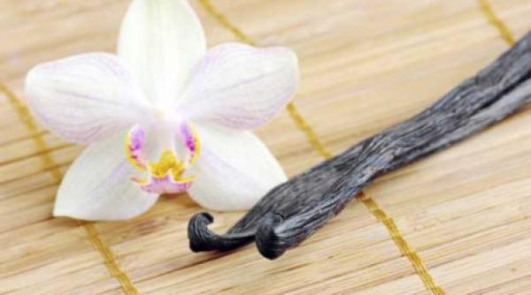 arome divine intr o pastaie