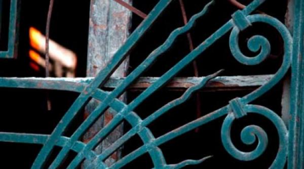 ferme capsuni si poze