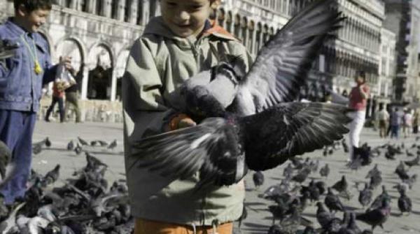 istorie si sacrificiu