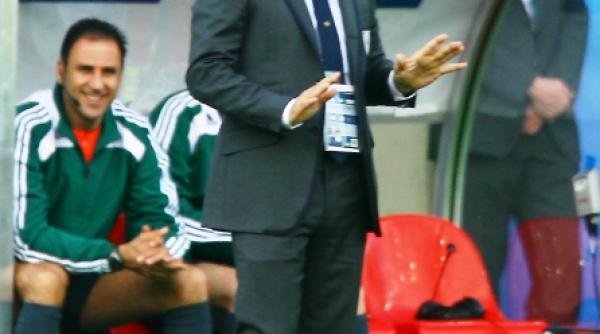 domenech a anuntat lotul frantei pentru africa de sud