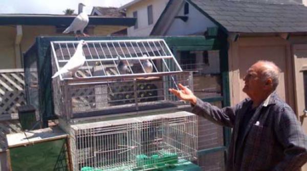 marea dragoste a lui harold jack