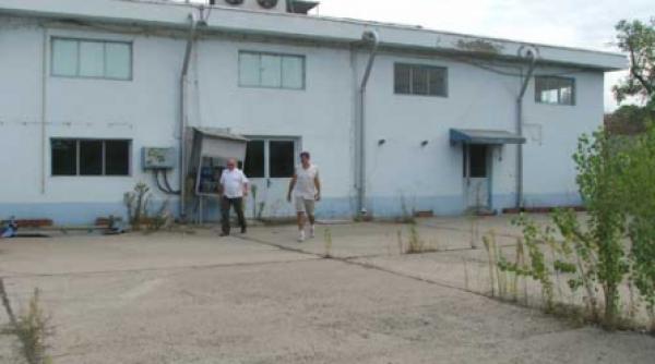 senatorul marius necula acuzat ca a falimentat o fabrica privata