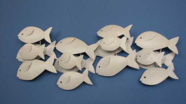 pestisorul de argint din mediterana