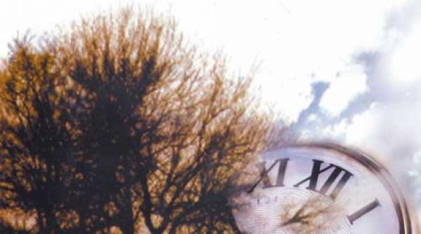 gogeamitea poetul romancier