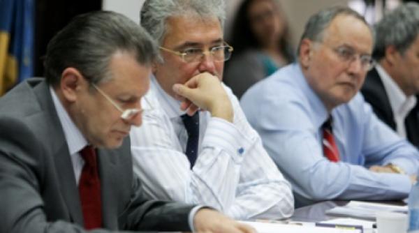 videanu si berceanu isi trimit angajatii sa infrunte criza in china