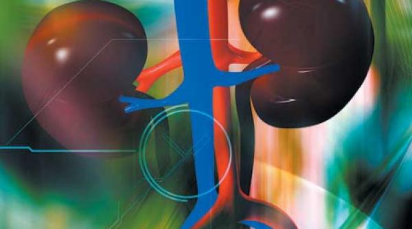 zguduituri in rinichi