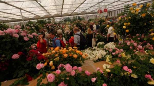 plantele anului si amenajari inedite prezentate la chelsea flower show