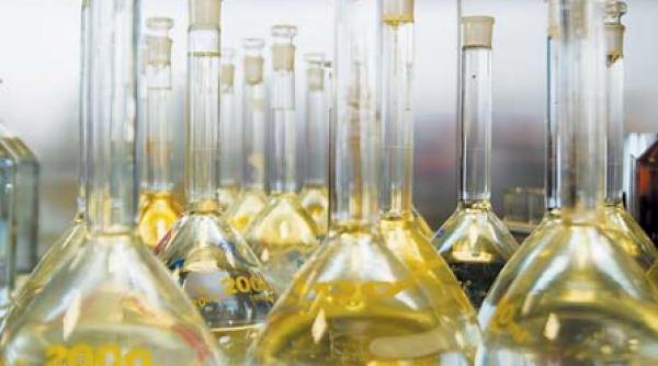 brunch cu produse biodinamice