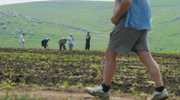 bat toti in taran pana l omoara