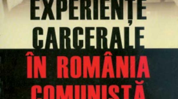 psihologia barbatului modern