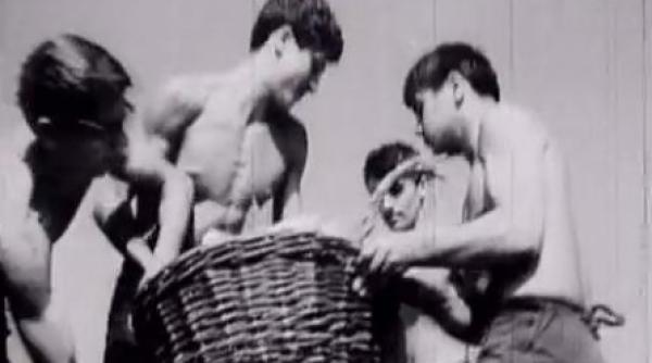 dupa 20 de ani elevii ies din nou la practica agricola