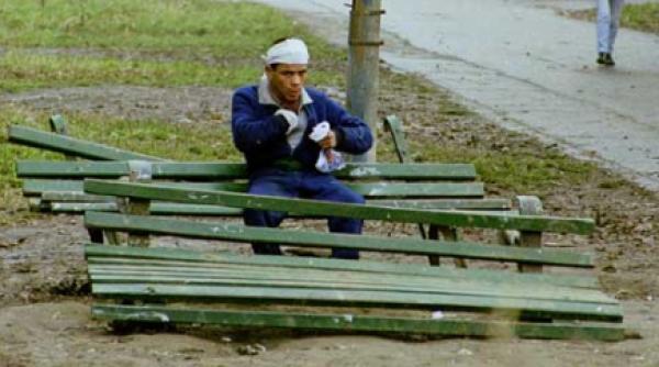 aurolacii bucurestiului