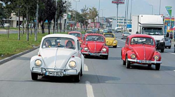 auto news bran beetle meeting