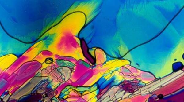 votca paun tequila cubista