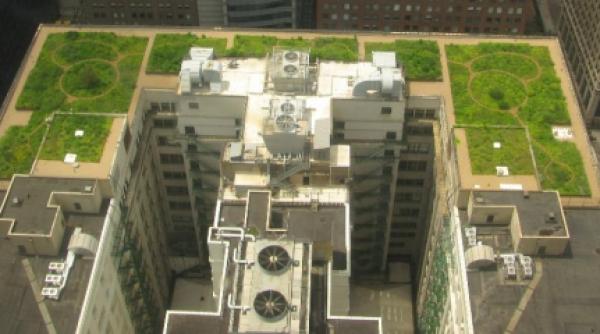 sorin oprescu vrea iarba pe blocuri