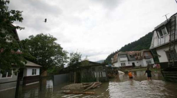 un guvern dus cu pluta