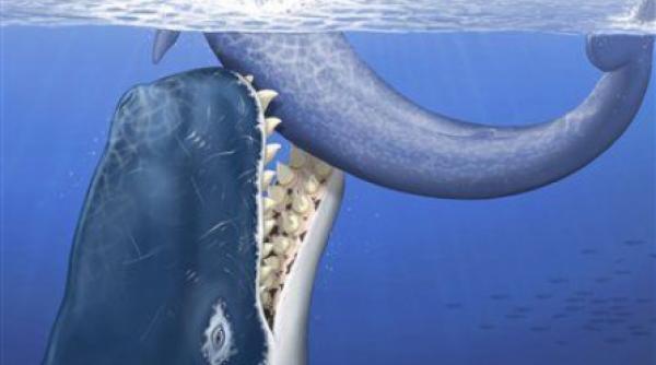 behemoth ul marilor era o balena ce manca alte balene