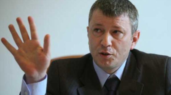 lupu paznic la padure ia copacii in secure