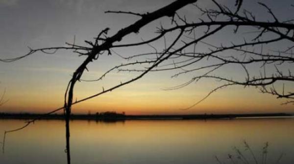 romanii din timocul bulgaresc si hora mortilor