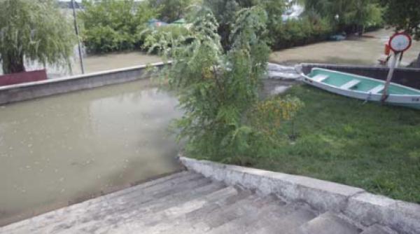 dig pentru salvarea galatiului