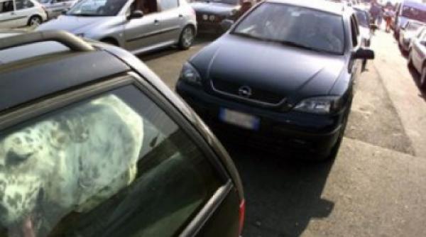 exodul cumparatorilor romani in bulgaria dupa cresterea tva ului