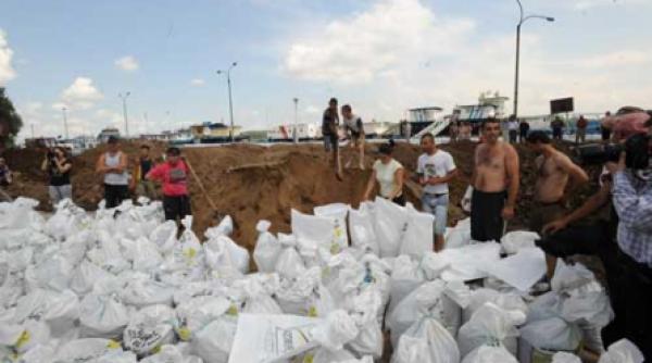digul asta minune e cooperativa munca in zadar