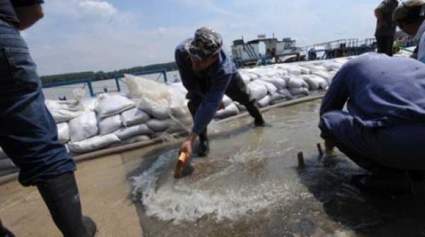 peste dezastru vine iar potopul