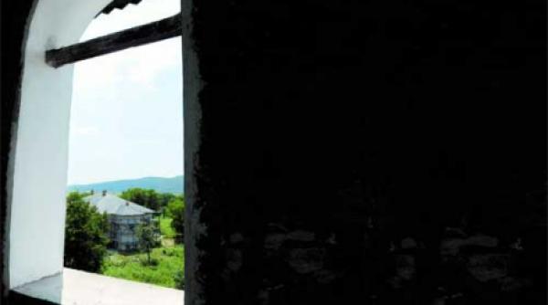 se trage din sangele brancovenilor