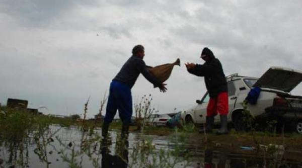 dunarea atinge cote incredibile la braila