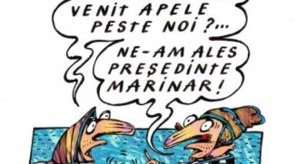 el hidro maximo si nuti international