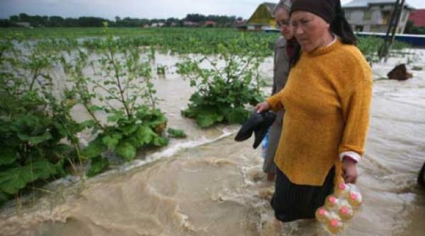 vedetele si jurnalistii intact in ajutorul tau