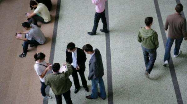 cele mai vanate universitati si specializari din romania