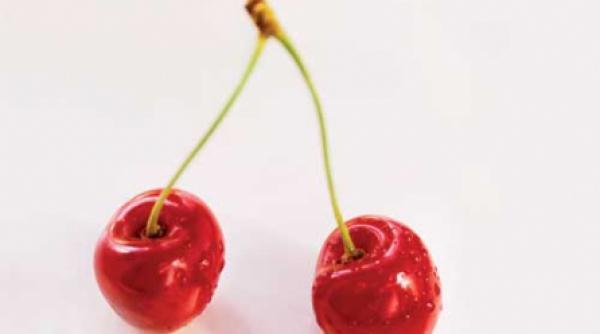 mancati cirese si visine romanesti