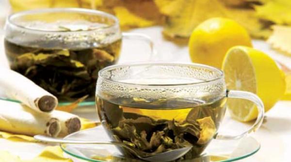 sezonul ceaiului verde