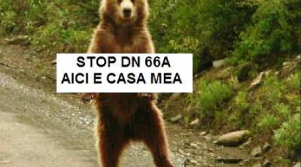 ecologistii se pregatesc sa instaleze tabara de rezistenta pe drumul lui basescu