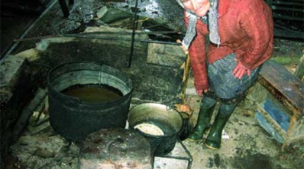 bucate traditionale din lunca dunarii