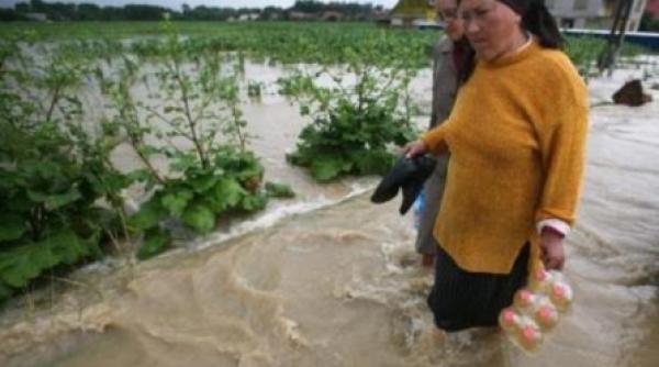 inundatii in bistrita nasaud 10 familii izolate si 150 de gospodarii fara curent electric